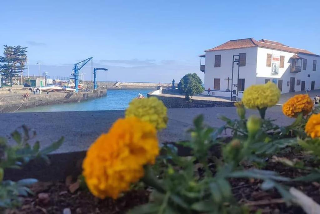 Centrico Y Encantador Estudio En Puerto De La Cruz Экстерьер фото