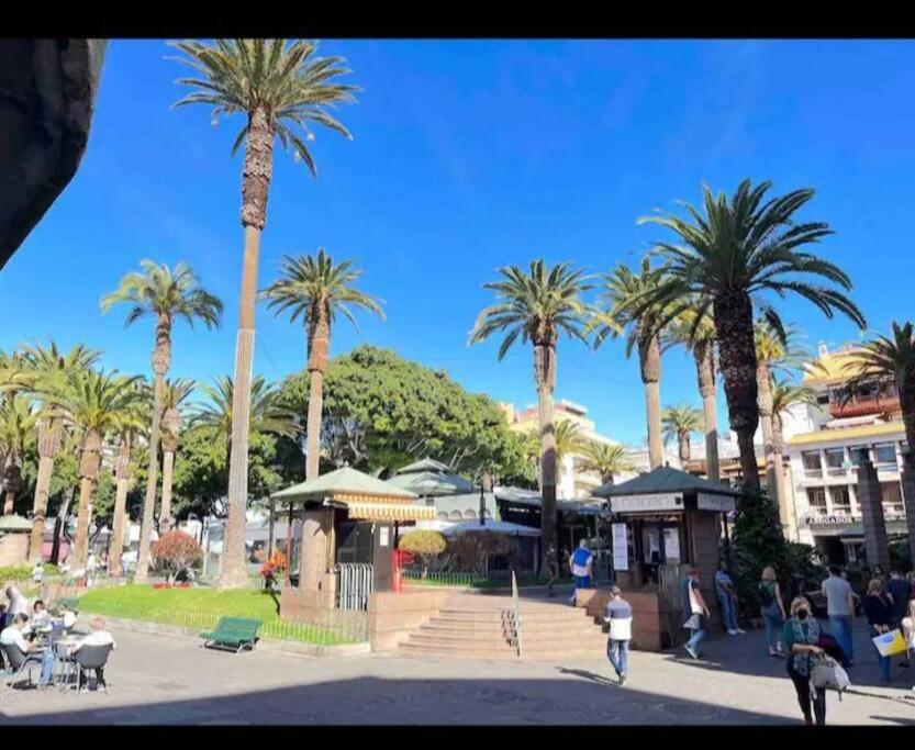 Centrico Y Encantador Estudio En Puerto De La Cruz Экстерьер фото